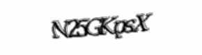 Security check image, please type the characters shown
